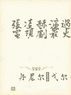 张凌赫演过什么电视剧最火