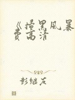 《扫黑风暴》免费高清