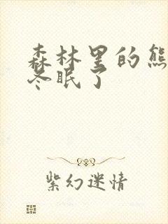 森林里的熊先生冬眠了封面