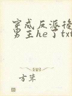 穿成反派后我和男主he了txt