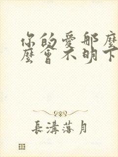 你的爱那么多怎么会不明下落封面