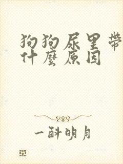 狗狗尿里带血是什么原因