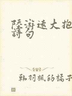 陆游远大抱负的诗句