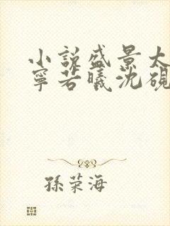 小说盛景太匆匆宁若曦沈砚舟在线阅读