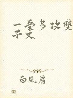 一受多攻双性生子文封面