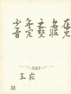 少年之名在线观看完整版免费高清