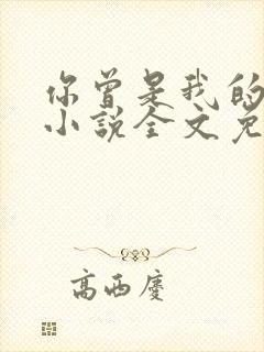 你曾是我的唯一小说全文免费阅读