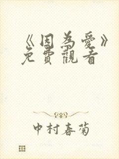 《因为爱》泰剧免费观看封面