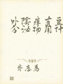 外阴痒有豆腐渣分泌物用什么药