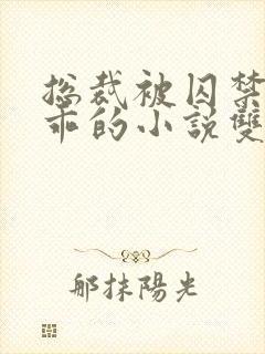 总裁被囚禁后变乖的小说双男封面