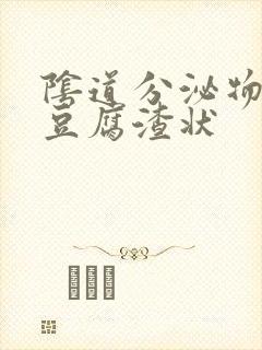 阴道分泌物白色豆腐渣状