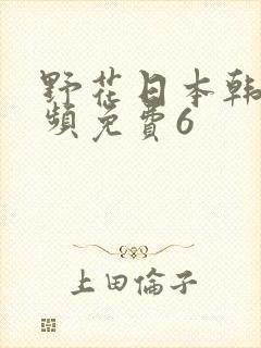 野花日本韩国视频免费6封面