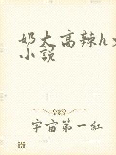 奶大高辣h文乳小说封面