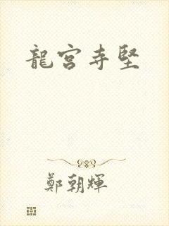 龙宫寺坚封面