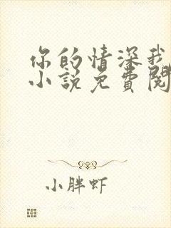 你的情深我不配小说免费阅读封面