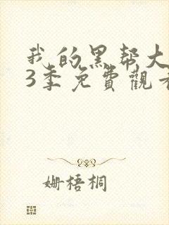 我的黑帮大佬第3季免费观看