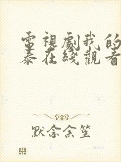 电视剧我的阿勒泰在线观看