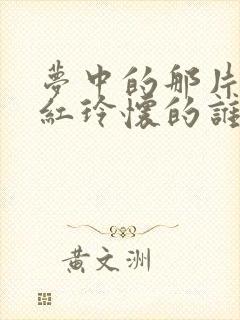 梦中的那片海贺红玲怀的谁的孩子