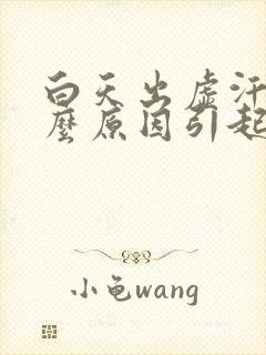 白天出虚汗是什么原因引起的 男人