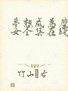 梦想成为魔法少女全集在线观看