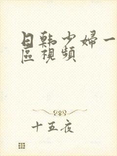 日韩少妇一区二区视频