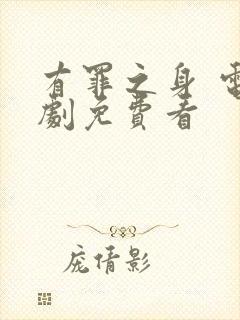 有罪之身 电视剧免费看封面