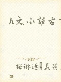 h文小说古言封面