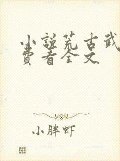 小说荒古武神免费看全文