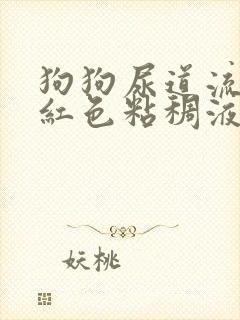 狗狗尿道流出淡红色粘稠液体封面