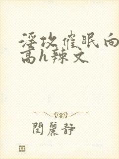 淫攻催眠向np高h辣文