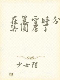 在暴雪时分第几集圆房了封面