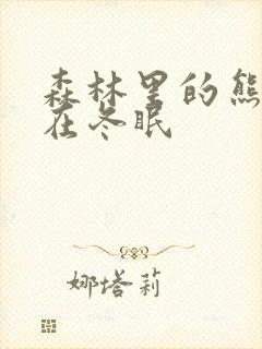 森林里的熊先生在冬眠