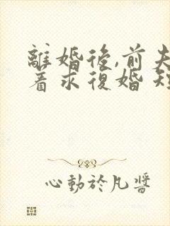 离婚后,前夫哭着求复婚 短剧