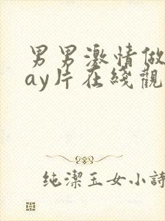 男男激情做爰gay片在线观看