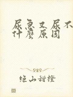 尿急又尿不出是什么原因