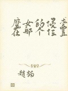 魔女的侵袭存档在哪个位置