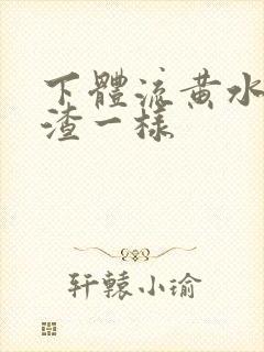 下体流黄水豆腐渣一样封面