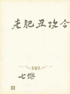 老肥丑攻合集