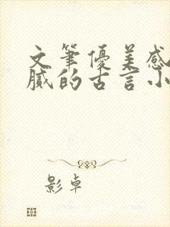 文笔优美感情细腻的古言小说