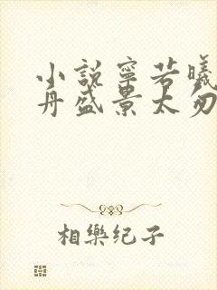 小说宁若曦沈砚舟盛景太匆匆在线阅读封面