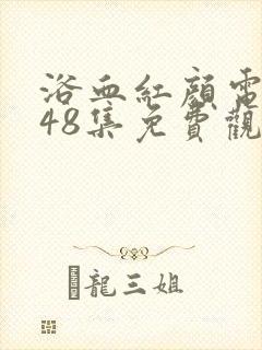 浴血红颜电视剧48集免费观看