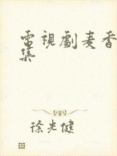 电视剧麦香40集