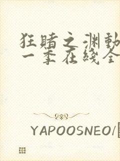 狂赌之渊动漫第一季在线全集免费观看