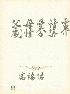 父母爱情电视剧剧情分集介绍