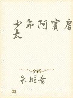 少年阿宾房东太太