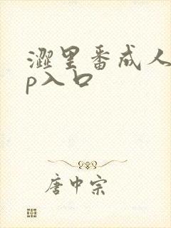 涩里番成人app入口