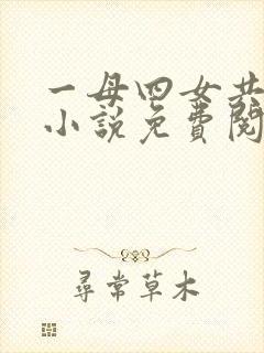 一母四女共一婿小说免费阅读