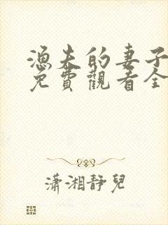 渔夫的妻子电影免费观看全集高清版封面