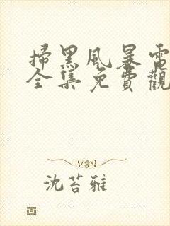 扫黑风暴电视剧全集免费观看完整版