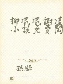 柳眠眠谢凌渊的小说免费阅读封面